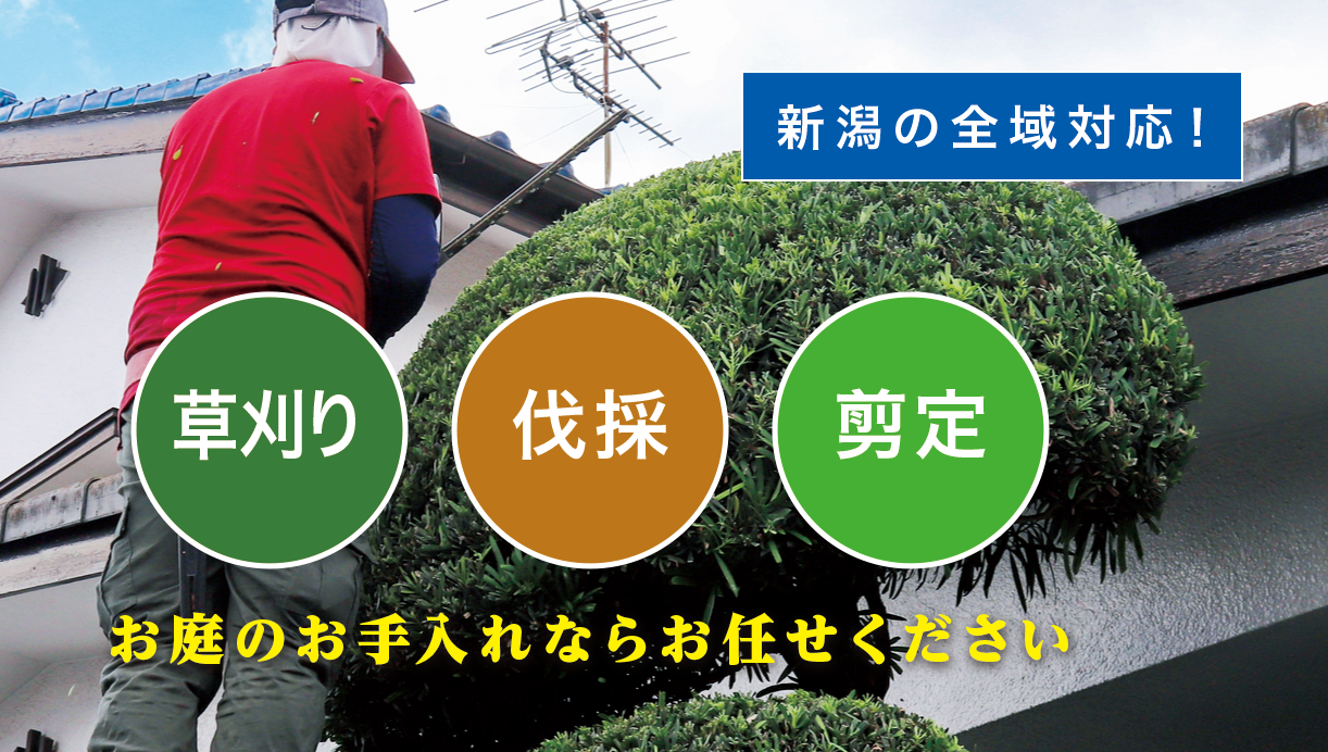 �V���s������ő�����E����E���̂Ȃ�u����̑叫�v